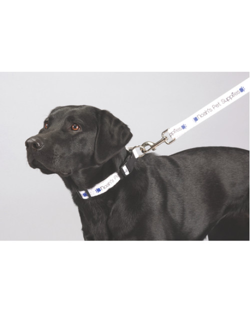 Laisse pour animaux de compagnie de qualité supérieure en couleur de 1 po de large