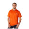 Polo PIEDMONT SS Homme