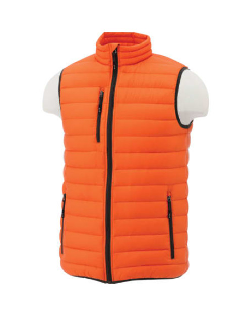 Veste en duvet légère Whistler pour hommes